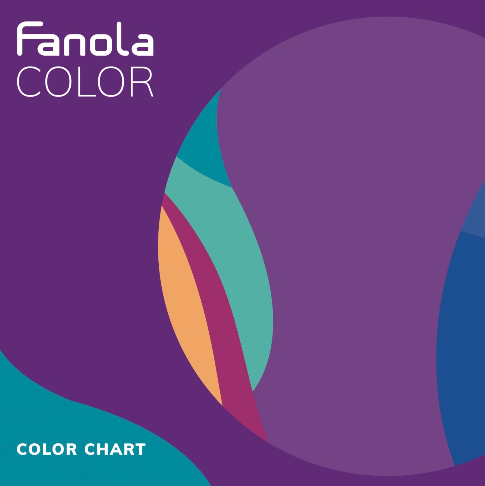 Fanola Hair Colour 100ml