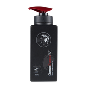 H2B Charcoal Shampoo 380ml