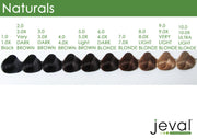 Jeval Color 100ml